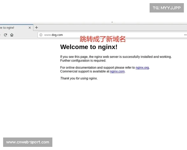 泳池安全规范修订草案提交,救生员配备标准提高